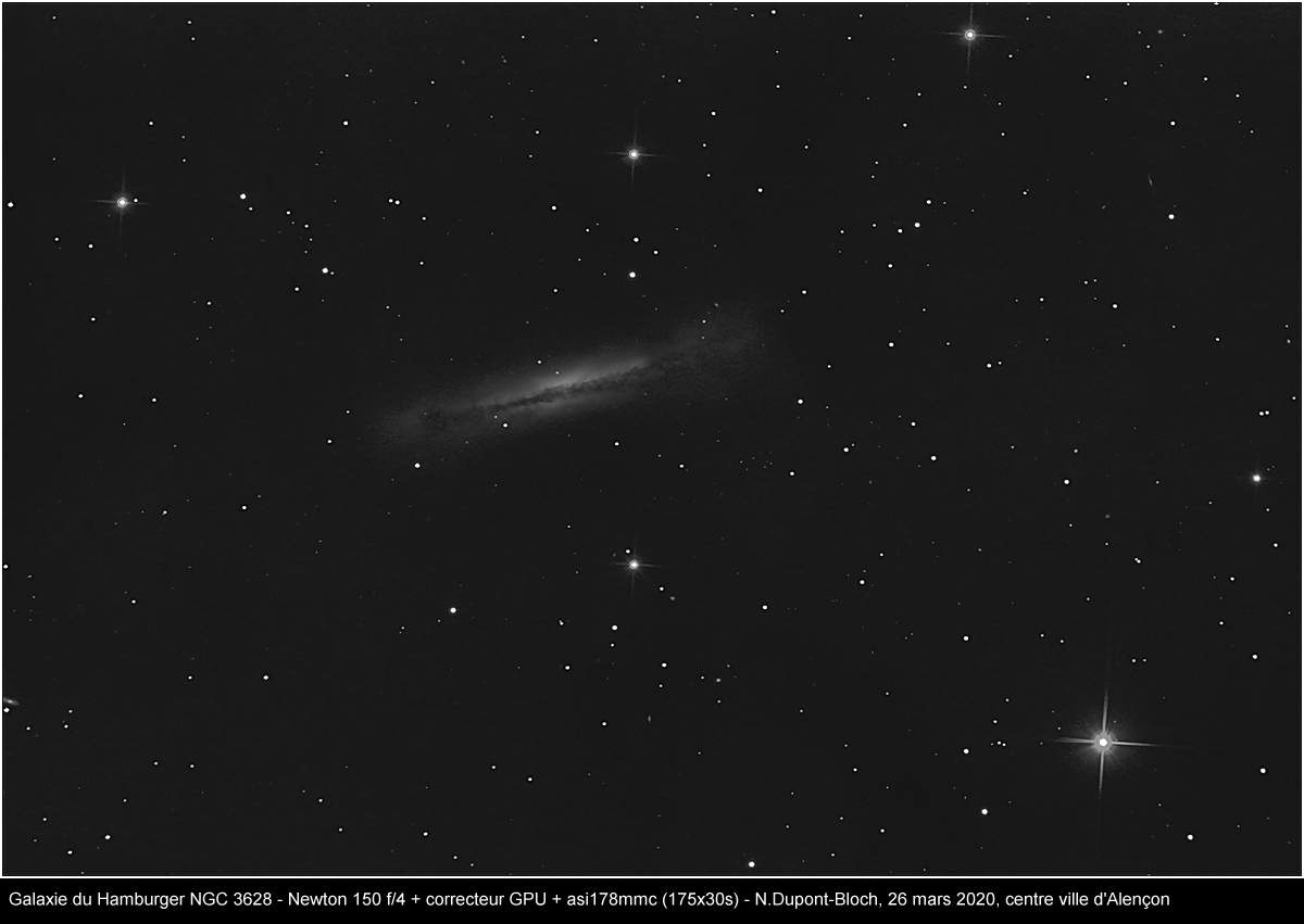 galaxie hamburger 175x30